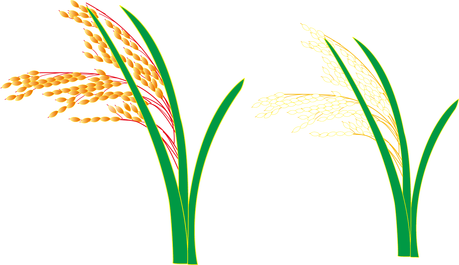 Logo Grasses Leaf Plant Stem Font - Grasses (2187x1210)