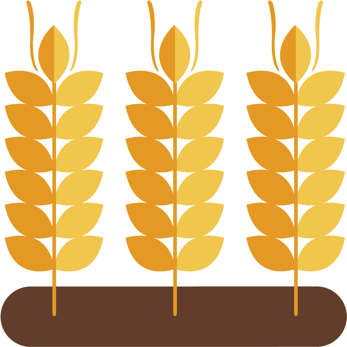 Wheat Animation Clip Art - Vector Graphics (2130x2063)