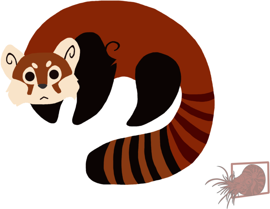 Red Panda Cat Bear Tiger Giant Panda - Red Panda Cat Bear Tiger Giant Panda (1034x772)