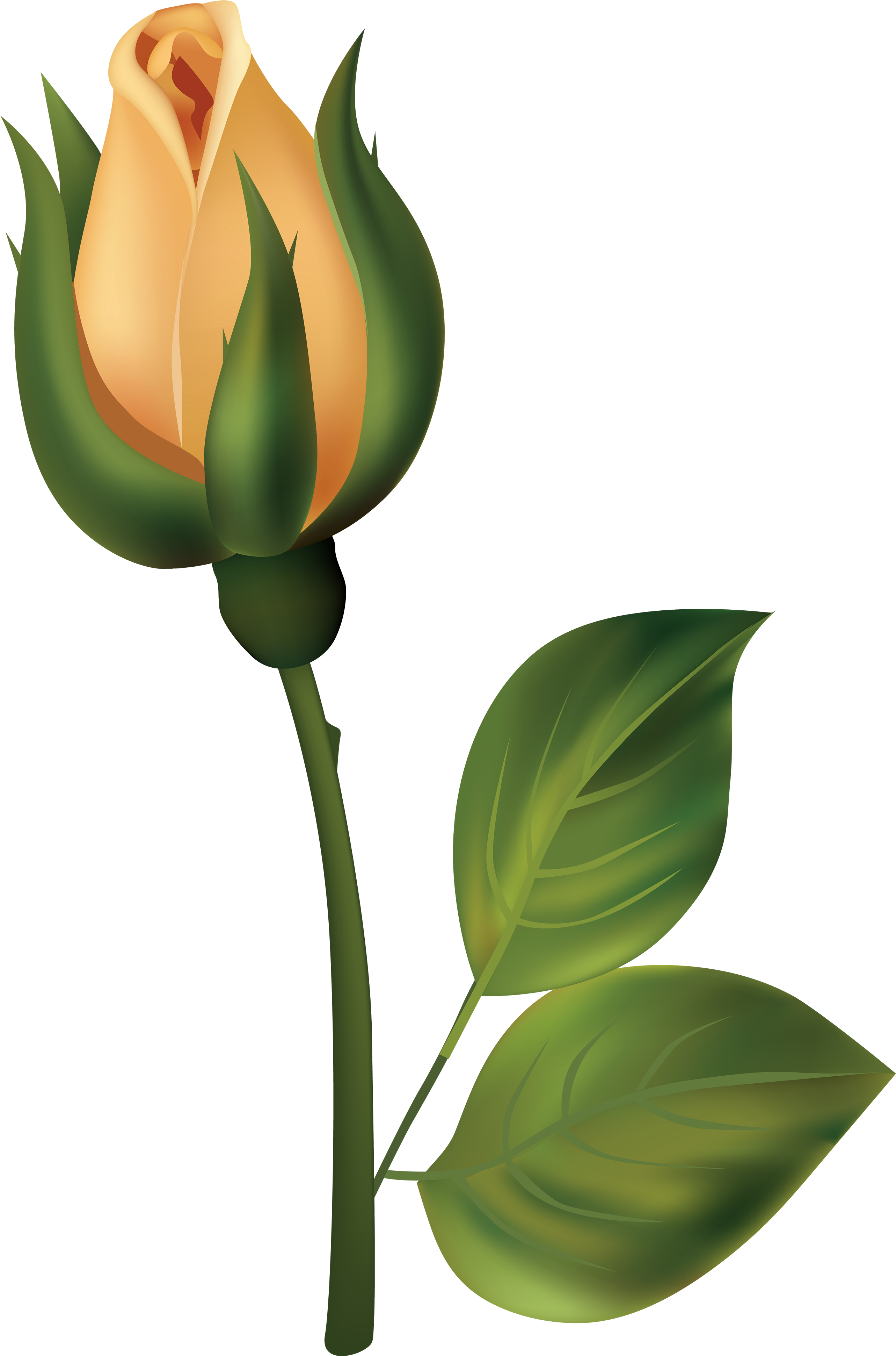 Bud Clipart Rose Bud - White Rose Bud Png (2644x4000)