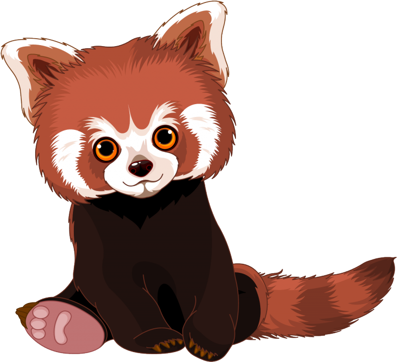 Red Panda Giant Panda Royalty-free - Red Panda Giant Panda Royalty-free (800x800)