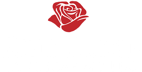 Home - Zwei Rote Rosen, Die Uawg Wedding Sind Karte (665x399)