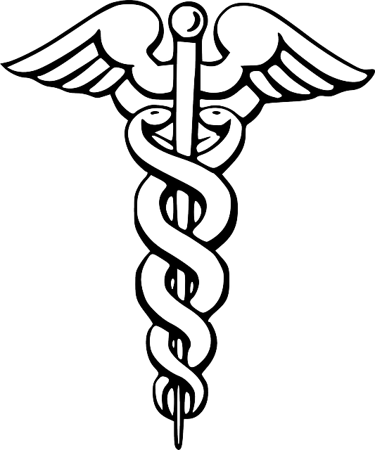 Symbol, Pin, Doctor, Wing, Free, Pharmacy, Staff - Medical Caduceus (533x640)