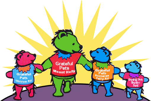 Dog Grooming In Charlotte Nc - Dog Grooming (550x342)