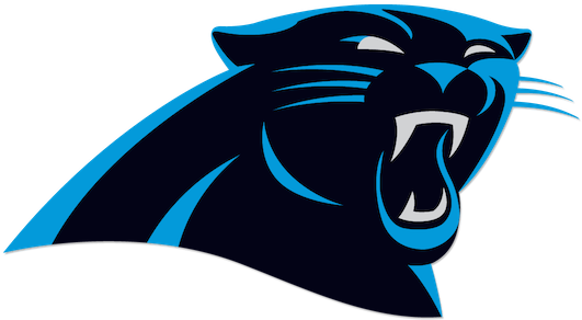 Panthers Nfl (600x600)