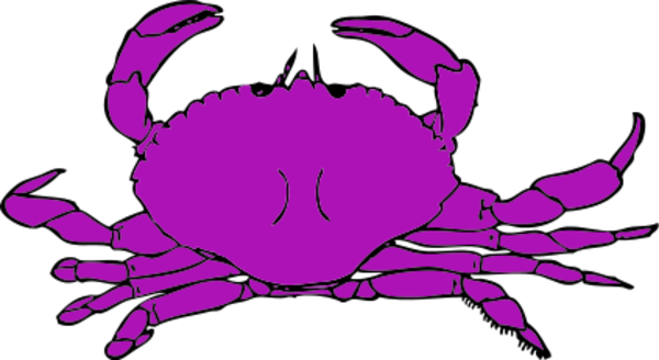 Purple Clipart Crab - Custom Red Creab Shower Curtain (600x328)