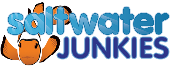 The Saltwater Junkies - Saltwater Junkie (600x233)