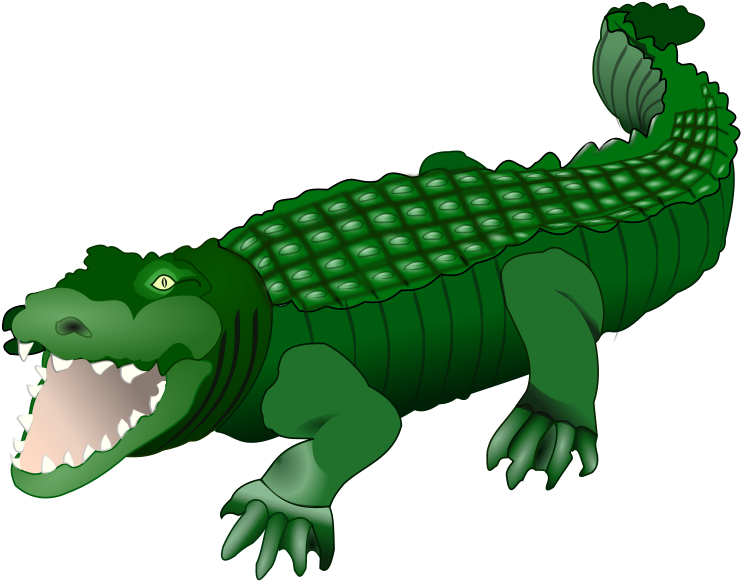 Similar Clip Art - Crocodile Clipart (800x600)
