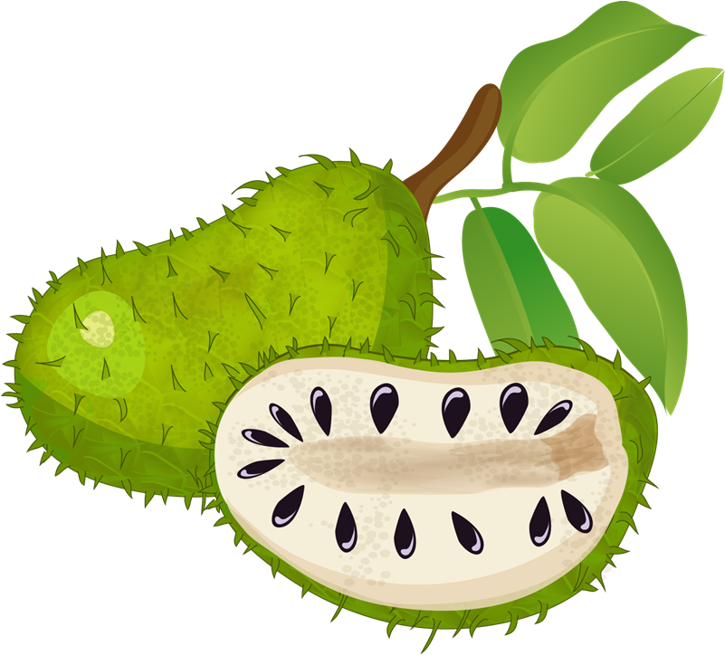 Free To Use & Public Domain Fruits Clip - Health Benefits Of Soursop (800x734)