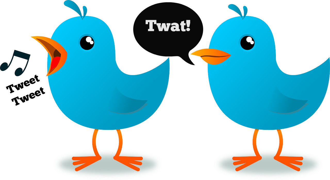 Twatter Mastodon Hosted On Twatter - 2 Little Dicky Birds Clipart (1280x700)