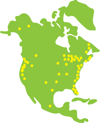 American Mastodon Fossils Date From The Early Middle - North America Vector (332x409)
