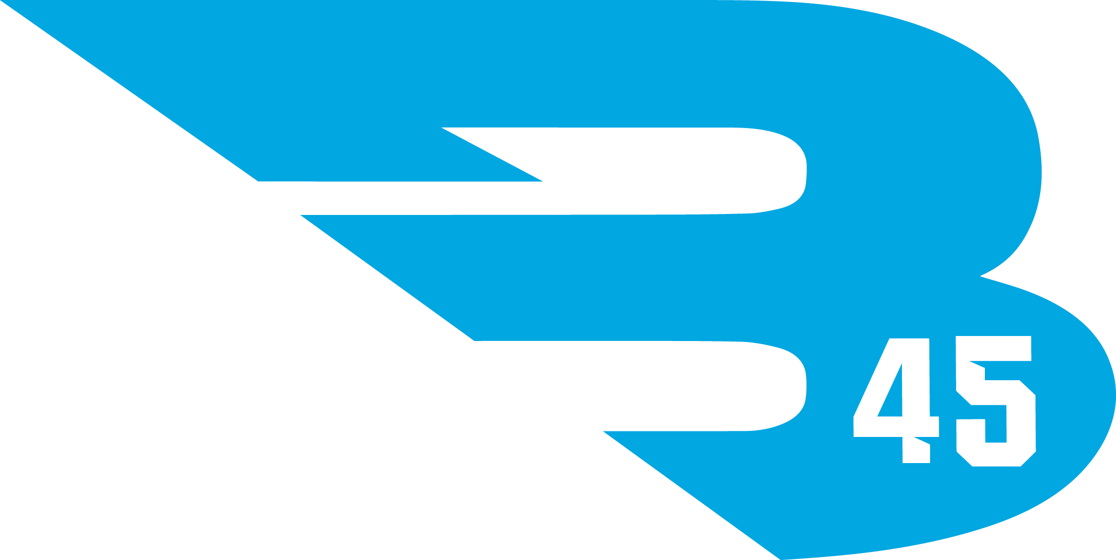 Company Logo - - B45 Bats Logo (2221x1115)