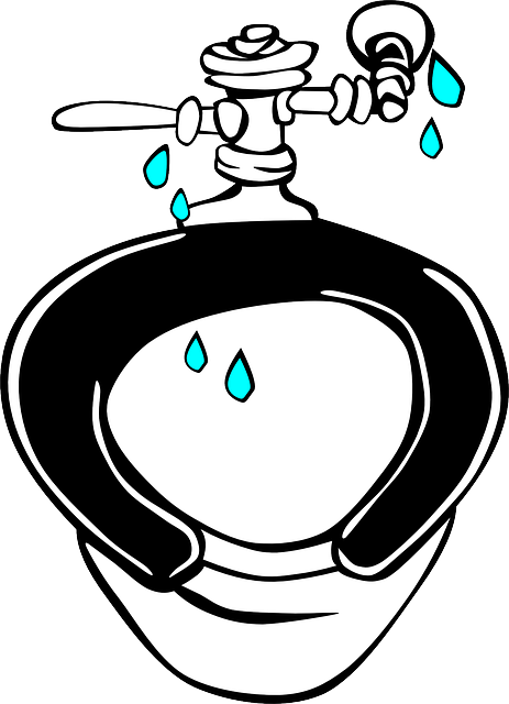 3 Common Plumbing Issues Faced By Older Homes - Leaking Toilet Clipart (463x640)
