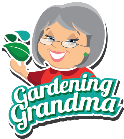 Grandma Png (1240x472)