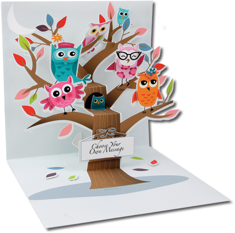 Owls - Owl Pop Up Card (491x491)