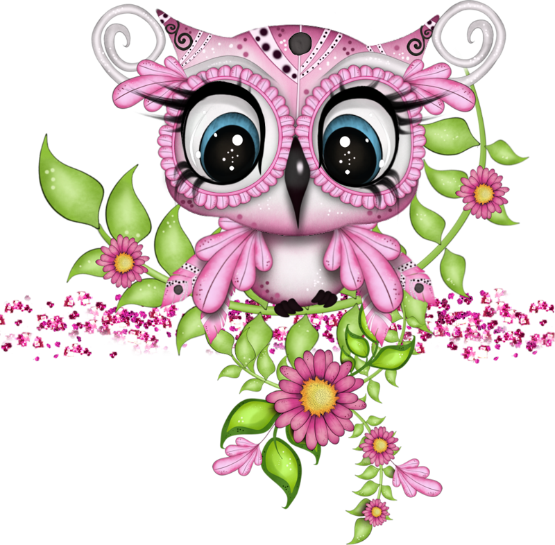 Совушки - Fodos De Pantalla Buhos (800x786)