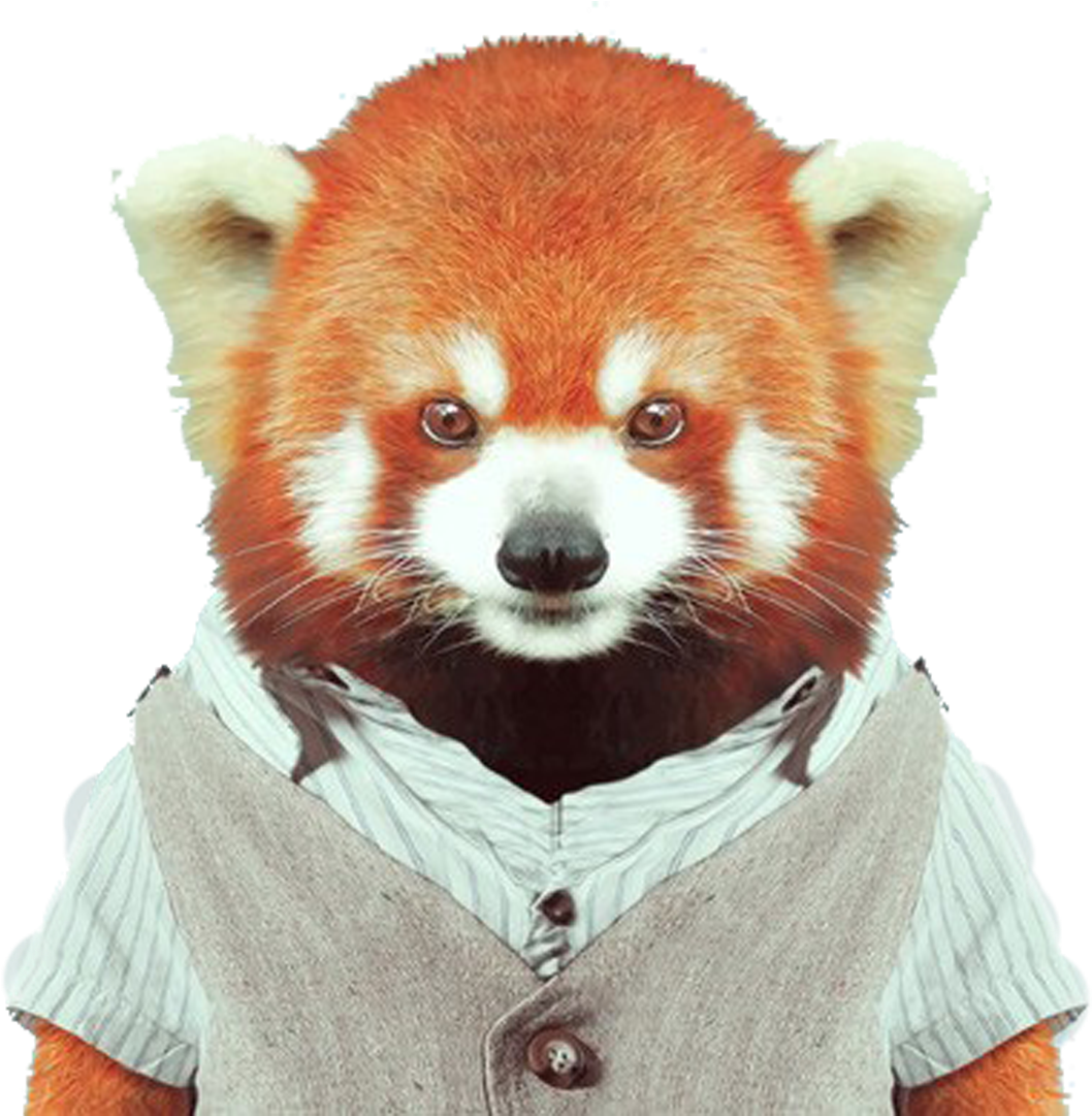 Red Panda Giant Panda Zoo Portraits Bear Clothing - Superstudio Cushion Cover Gentlebear 45x45- (1500x1347)