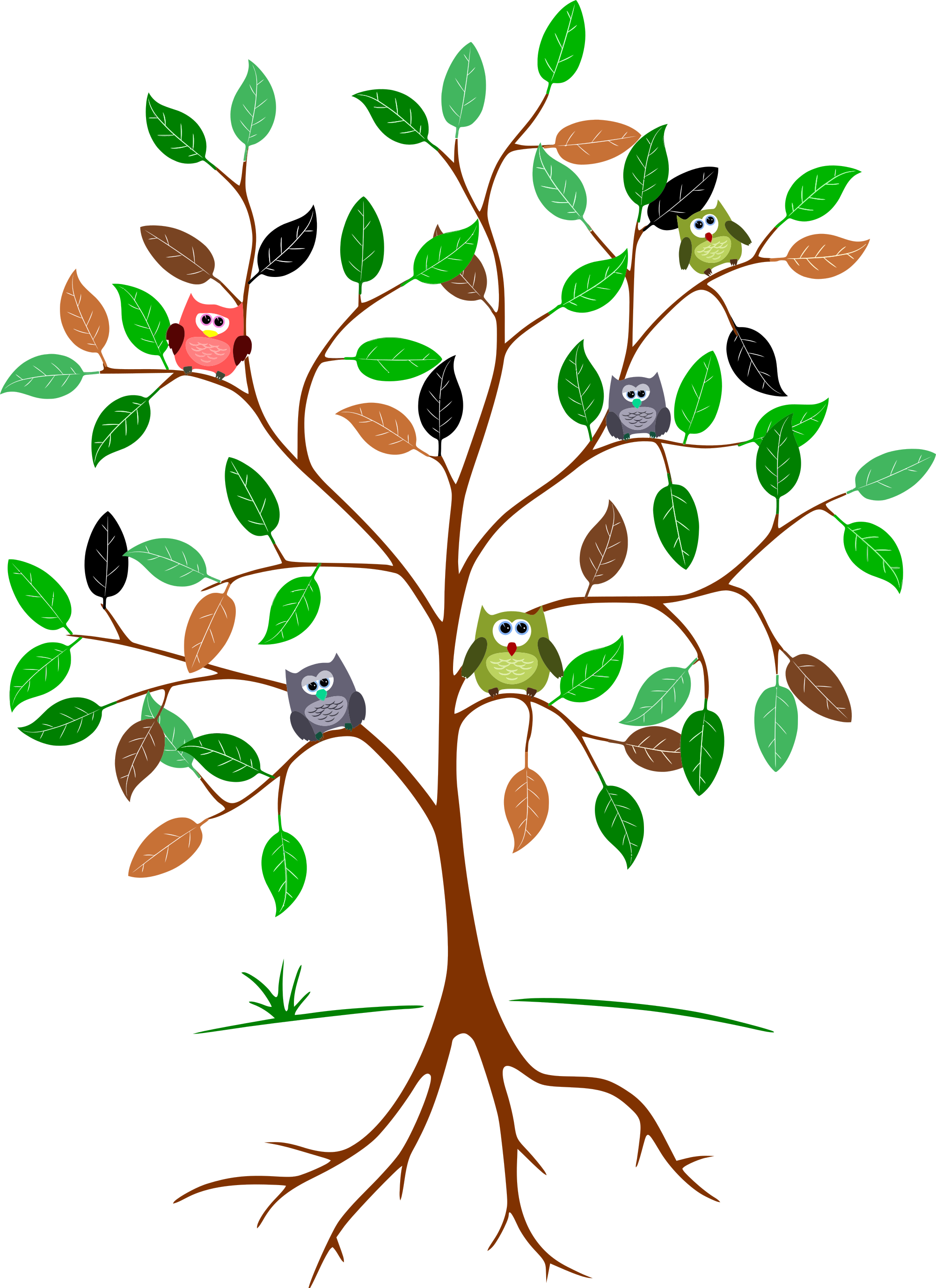 Owls In A Tree - Colourful Tree Of Life Png (2000x2753)