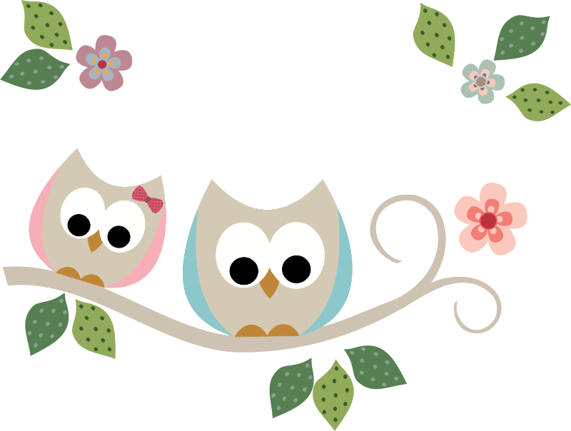 Point Das Fofurices ♡ - Corujinha No Galho Png (800x604)