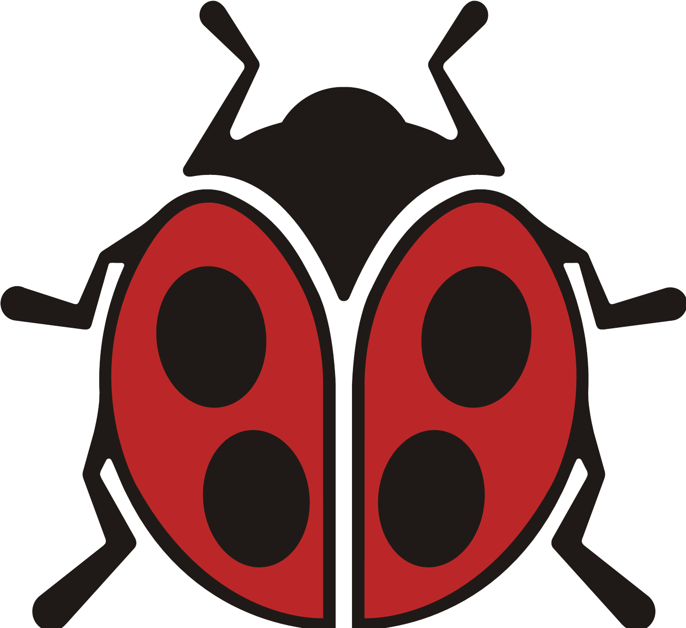 Microbial Bug - Ladybird Beetle (1368x1253)