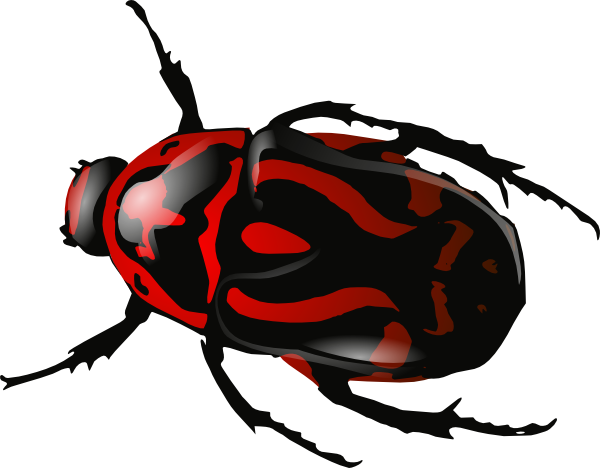Insect Png Clipart - Black And Red Beetle (600x468)
