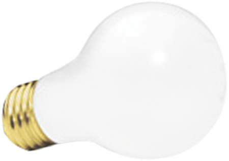 Incandescents - Television Show (450x317)