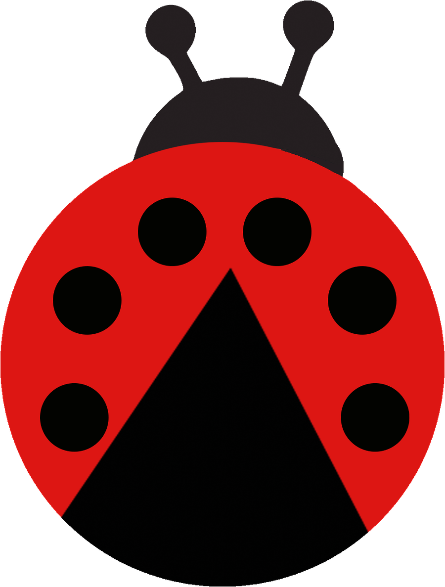 Joaninha - Minus - Ladybird Beetle (900x1187)