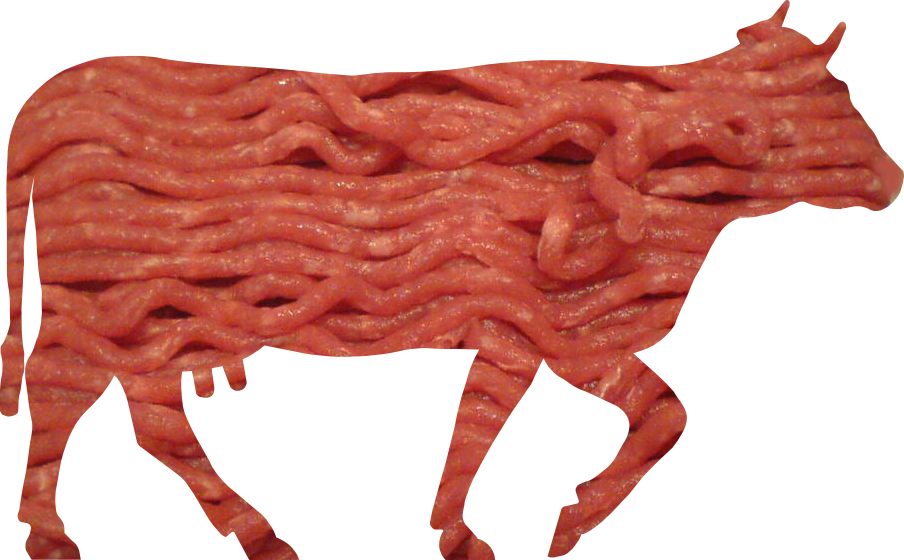 Cattle Images - Scientist Finally Discover Why Eating Red Meat Causes (904x560)