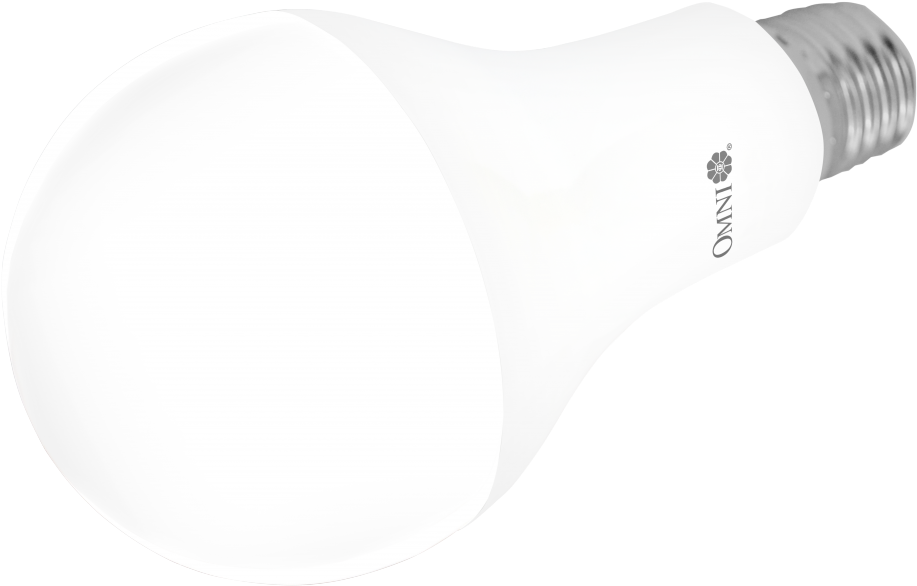 Features - Specification - Compact Fluorescent Lamp (1024x683)