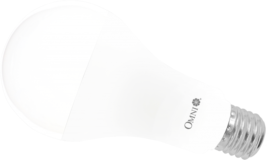 Features - Specification - Compact Fluorescent Lamp (1024x683)