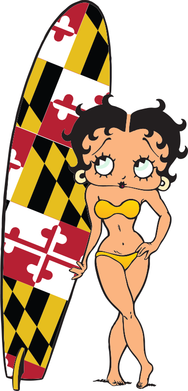 Maryland State Flag (387x804)