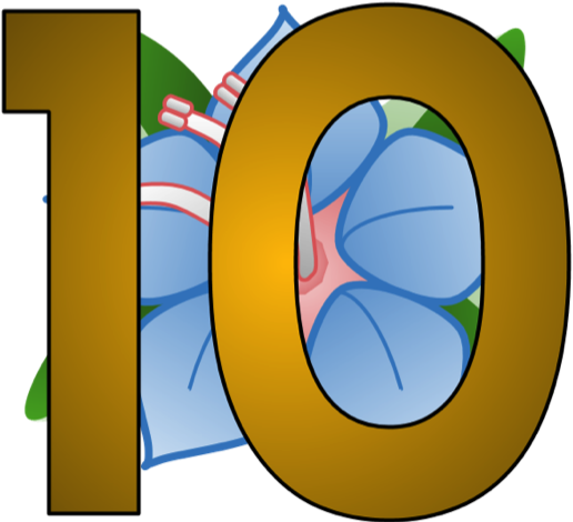 Amendment To The Constitution For A Better Allocation - Amendment To The Constitution For A Better Allocation (529x475)