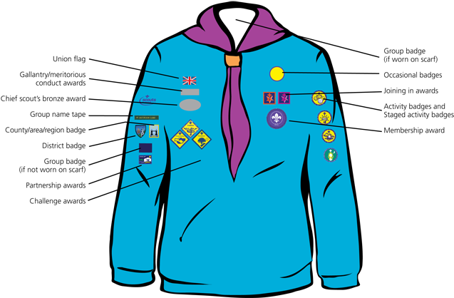 Beaver Scout Badges Clipart - Beavers Badge Positions (650x420)