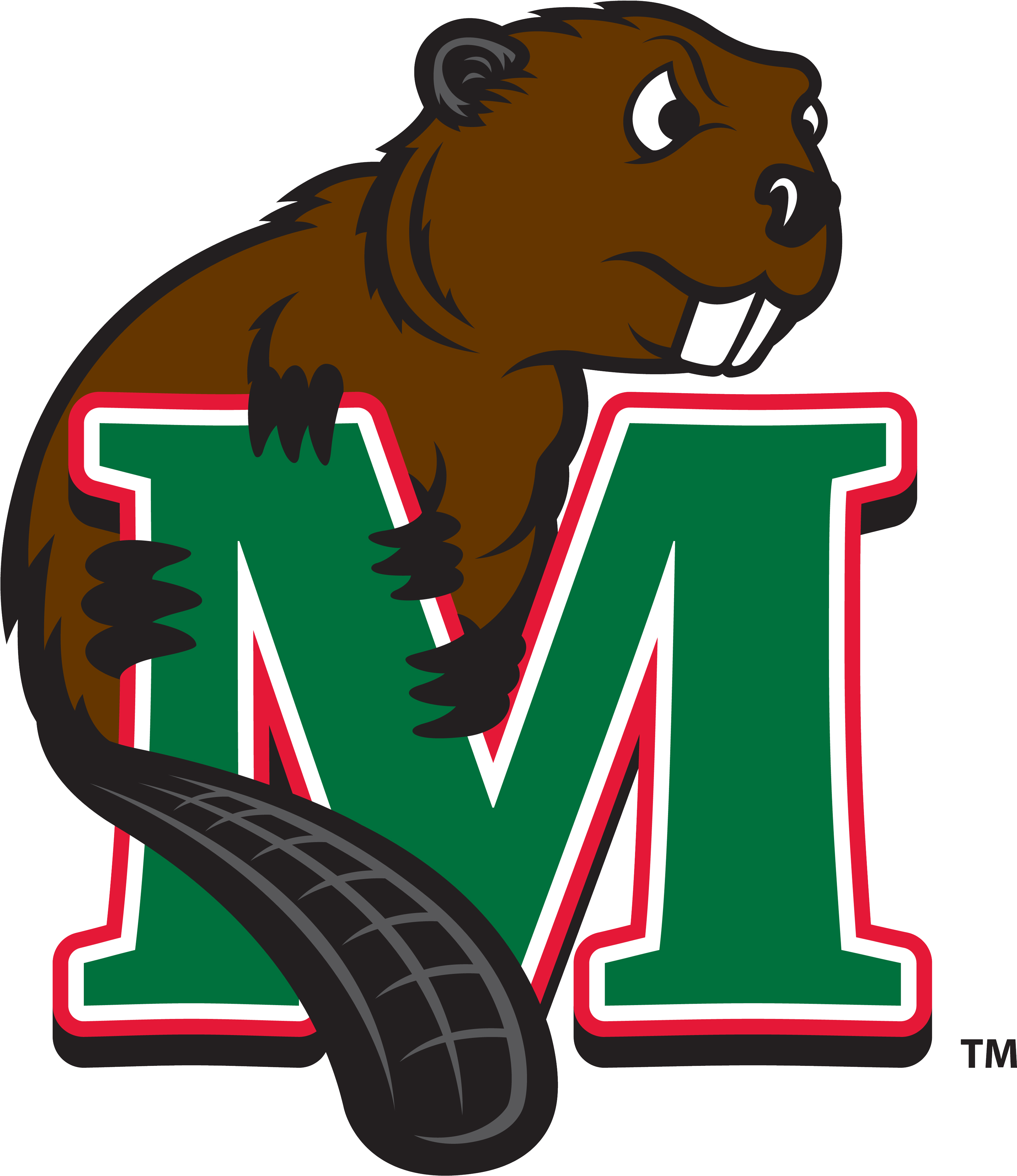 Minot State Baseball Scores, Results, Schedule, Roster - Minot State University Mascot (3949x3949)