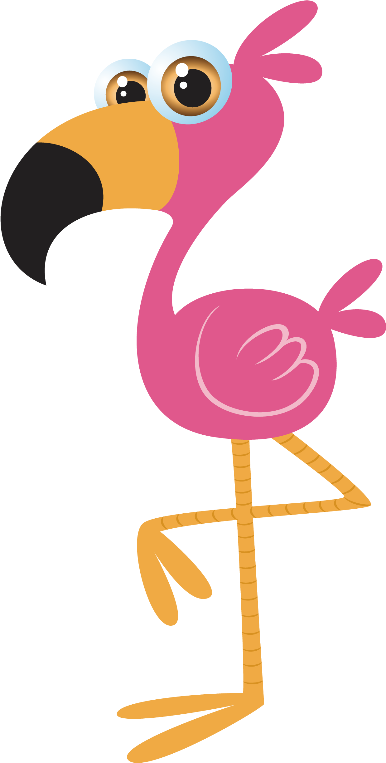 Bird Cartoon Illustration - Bird Cartoon Illustration (2500x2500)
