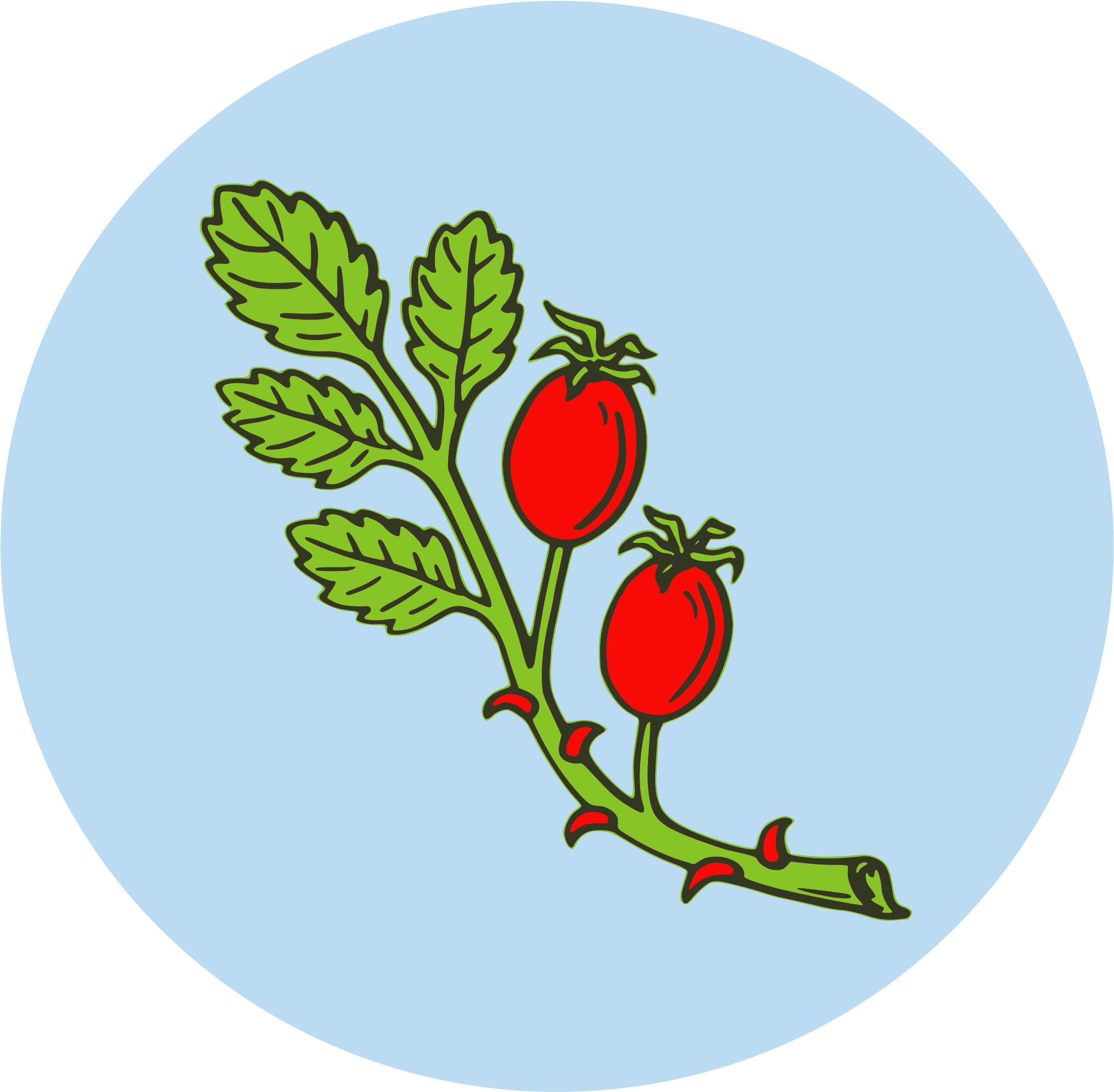 Clipart - - Fruit Of A Plant Clipart (2400x2400)