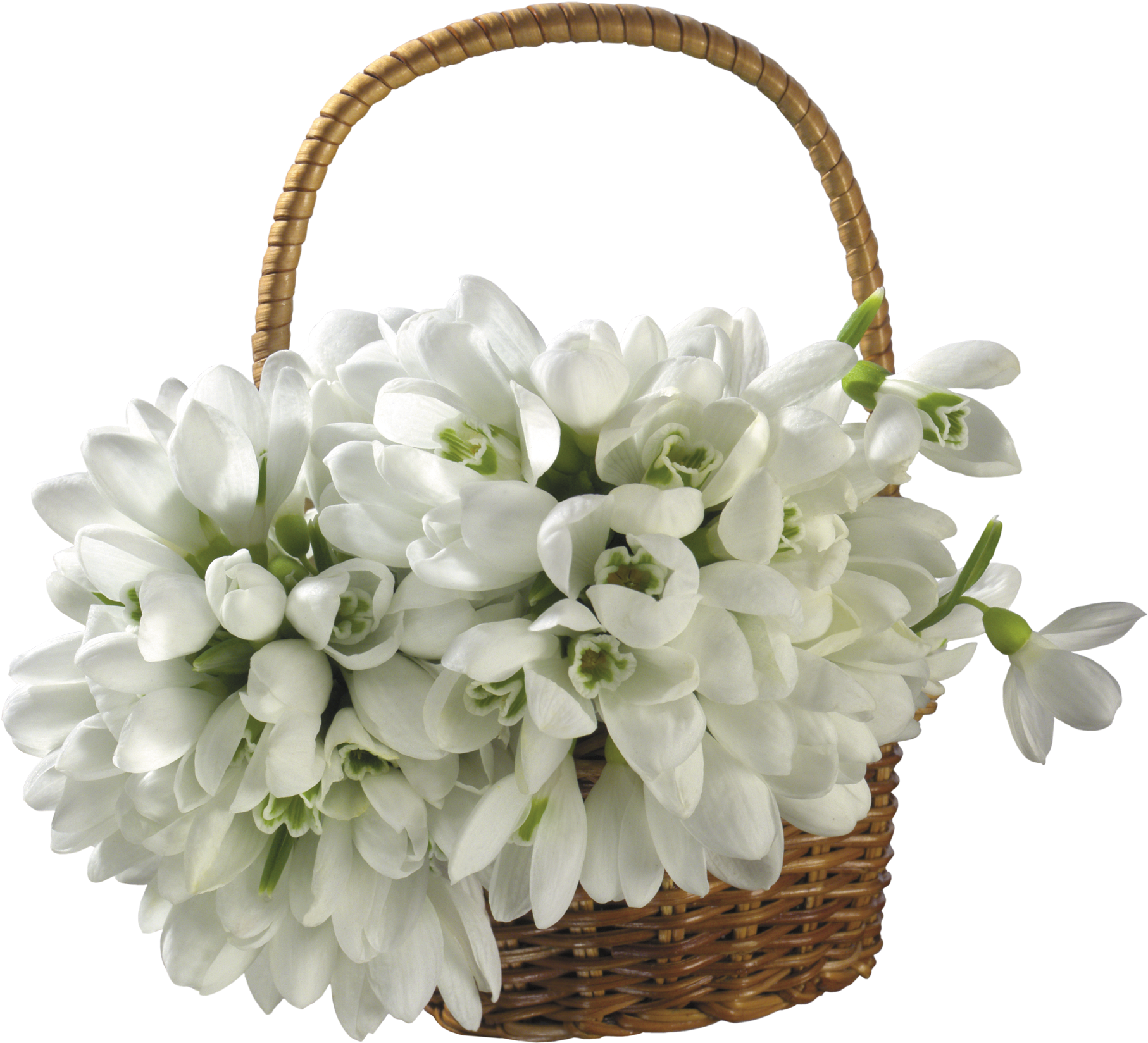 Snowdrop Clipart Yopriceville - Basket With Flowers Png (1899x1747)