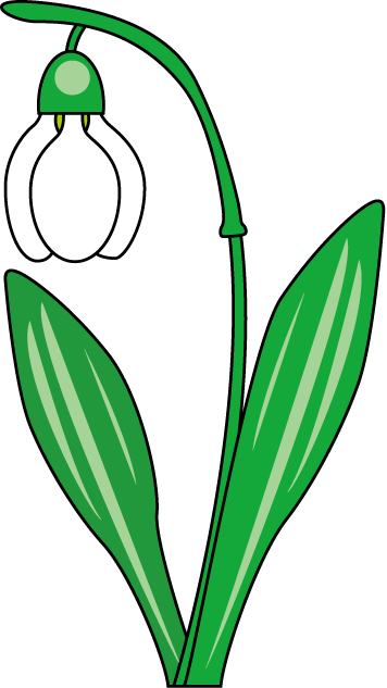 Snowdrops - Snowdrops (356x633)