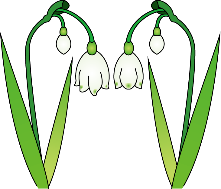Snowdrops - Snowdrops (731x625)