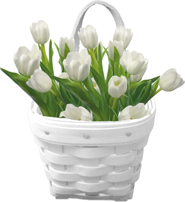 Tulip Clipart Basket - White Flower Basket Png (600x655)