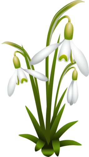 7 - Spring (285x500)