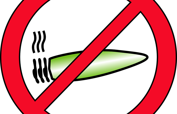 What Are The Best And Healthiest Ways To Consume Medical - Clip Art (743x480)