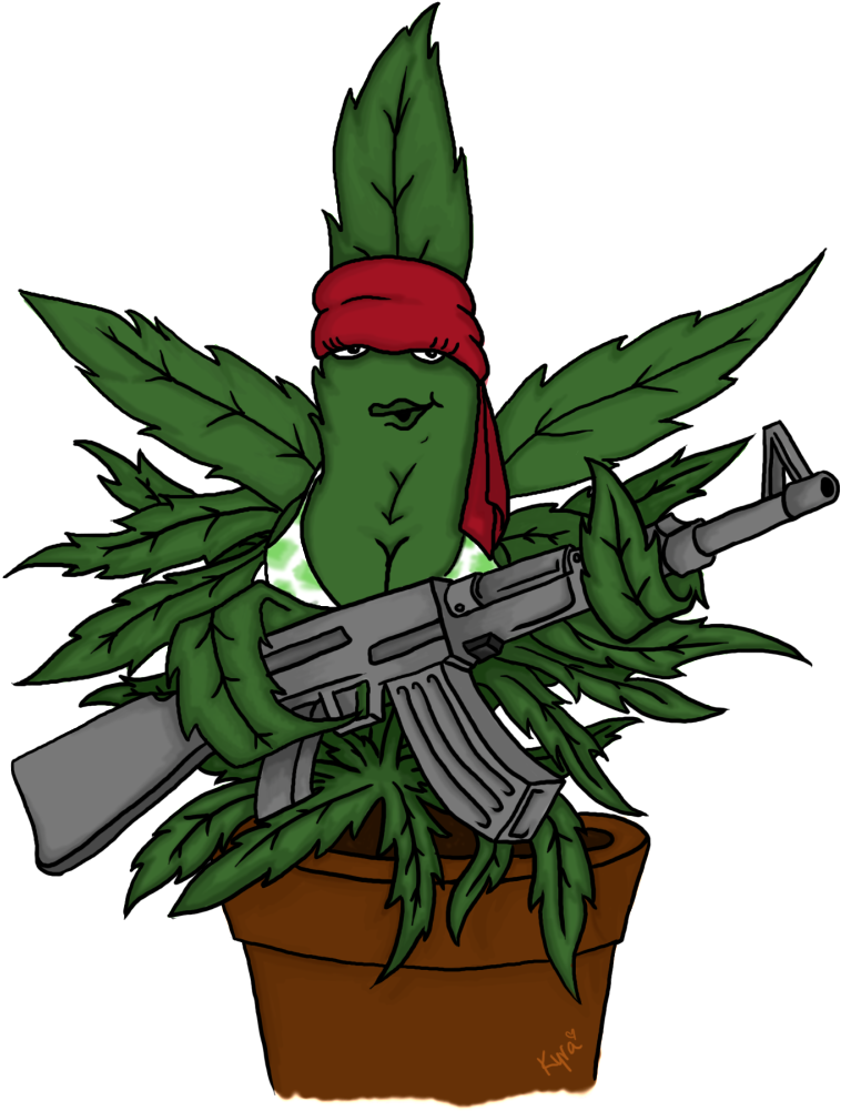 Cannabis Smoking Bong Clip Art - Cannabis Smoking Bong Clip Art (764x1023)