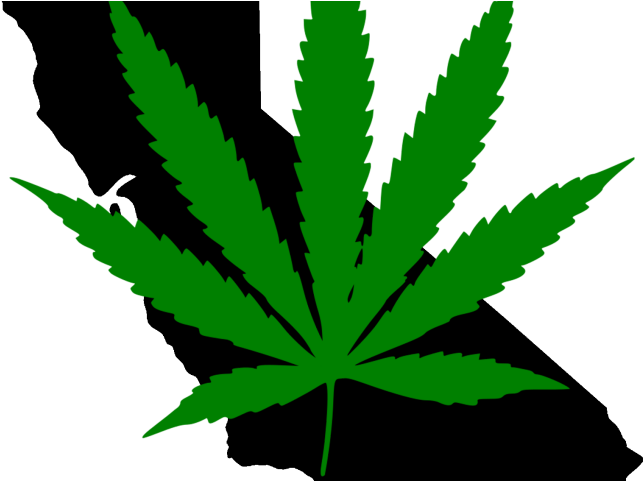 Marijuana Pot Leaf Car Or Truck Window Laptop Decal (848x480)