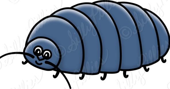 Roly Poly Clipart (592x311)