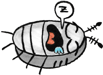 Sammy The Pillbug Stickers Messages Sticker-3 - Sammy The Pillbug Stickers Messages Sticker-3 (408x408)