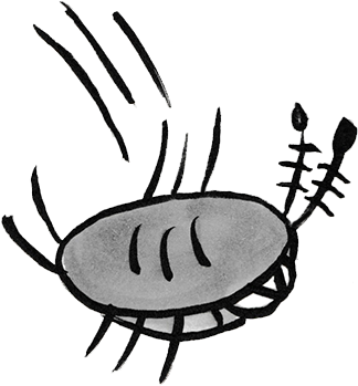 Sammy The Pillbug Stickers Messages Sticker-4 - Sammy The Pillbug Stickers Messages Sticker-4 (408x408)