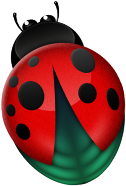 Clip Art - Ladybug (334x497)