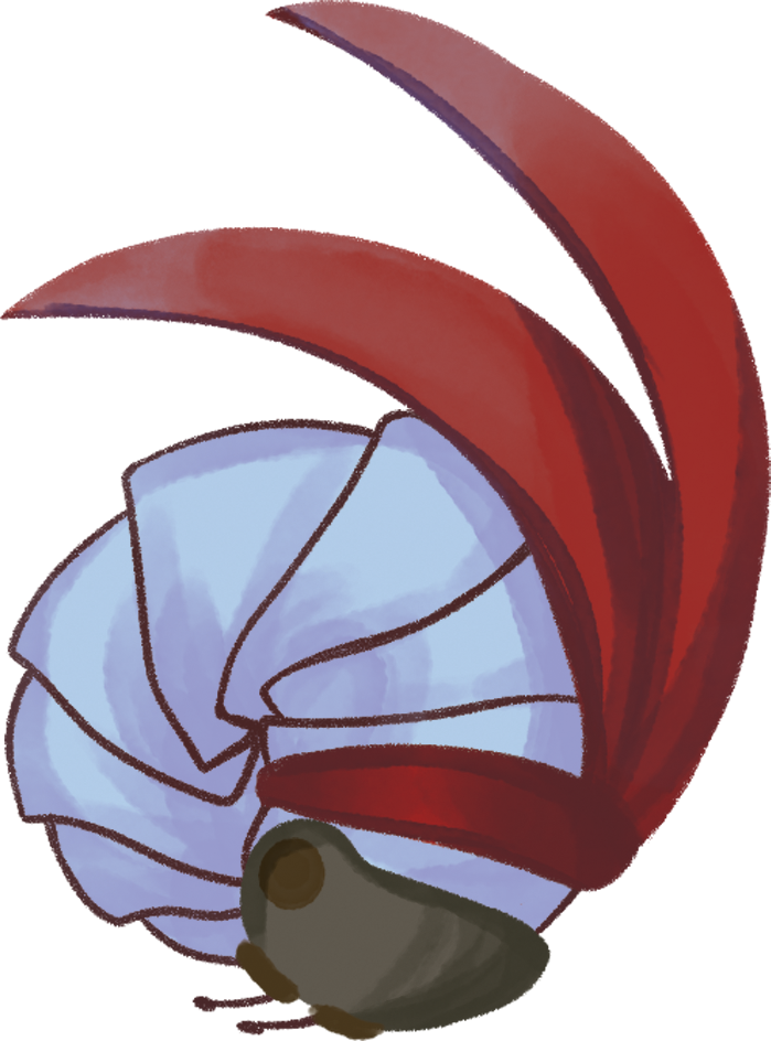 A Racing Roly Poly - Holy Moly Roly Poly (699x944)