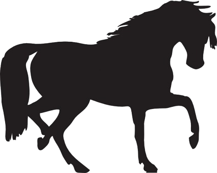 Equine Anatomy And Biomechanics - Horse Silhouette Clip Art (720x576)